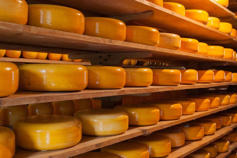 Hollandse kaas kopen bij Kaasgenoten